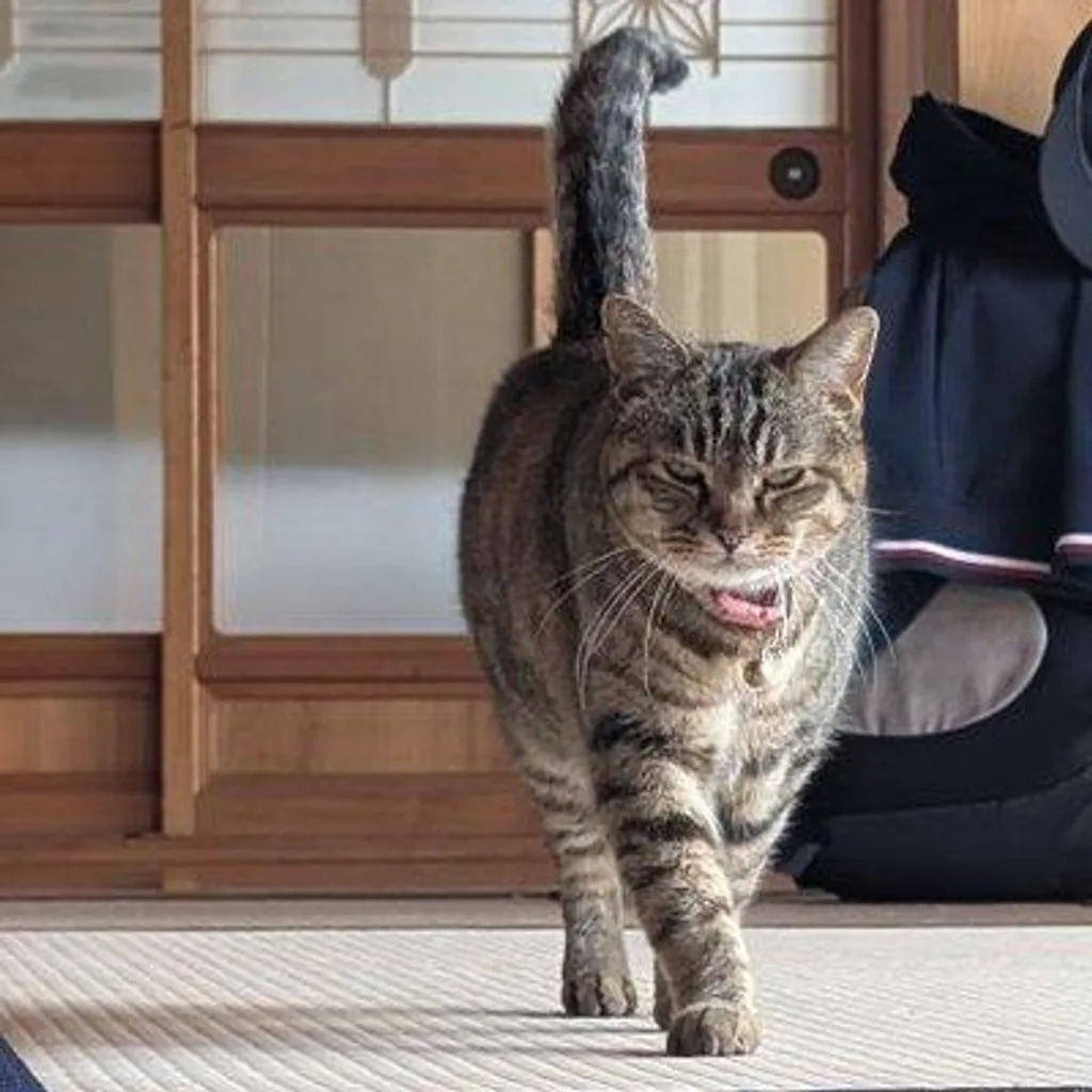 きょー