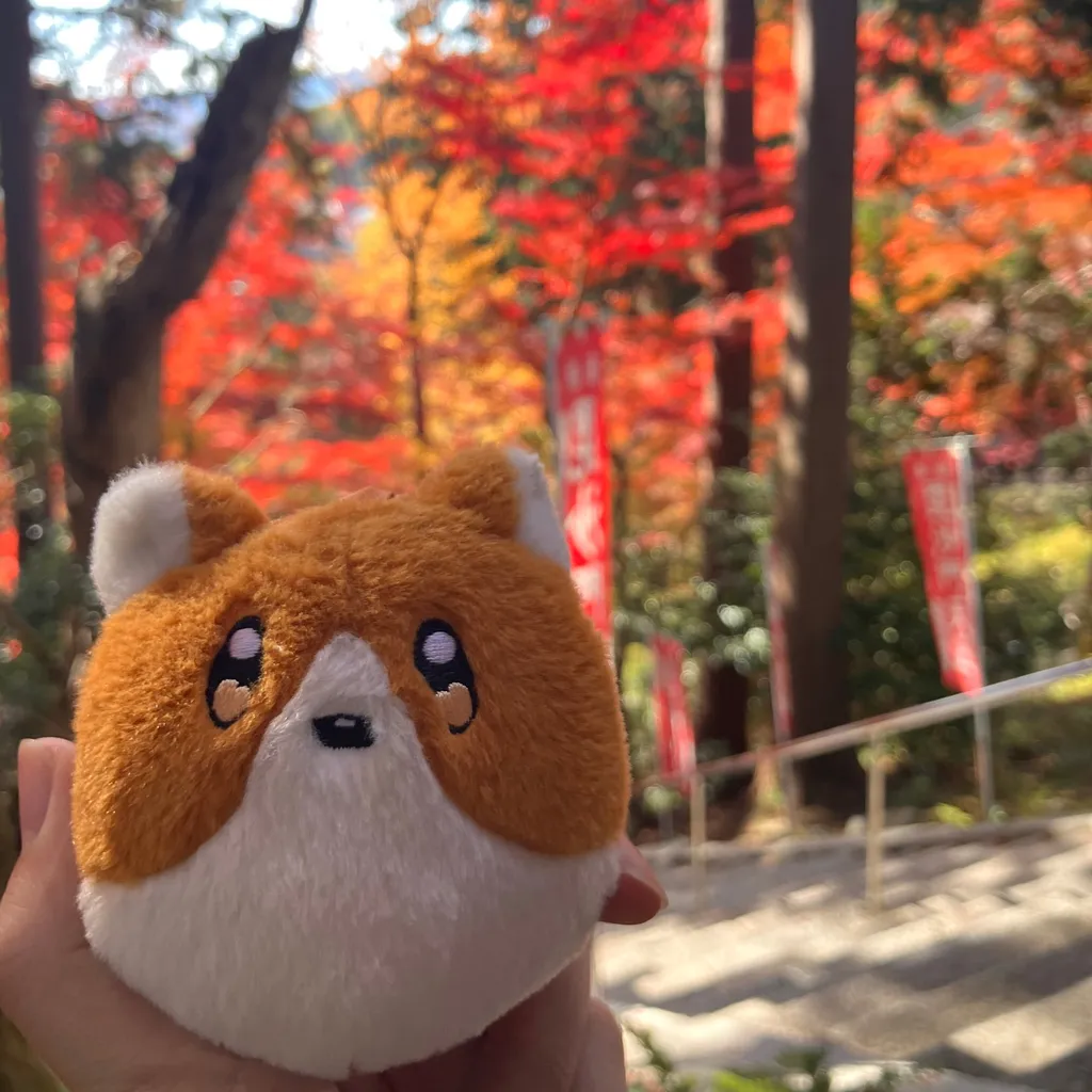ゆうだい